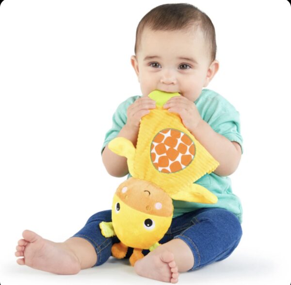 Snuggle & Teethe™ Plush Teether Toy - Image 2