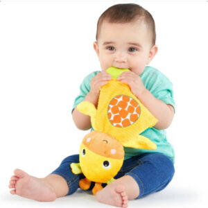 Snuggle & Teethe™ Plush Teether Toy