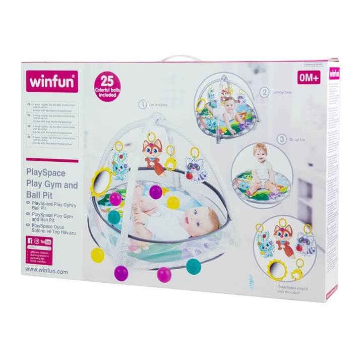 Play Gym And Ball Pit - Image 4